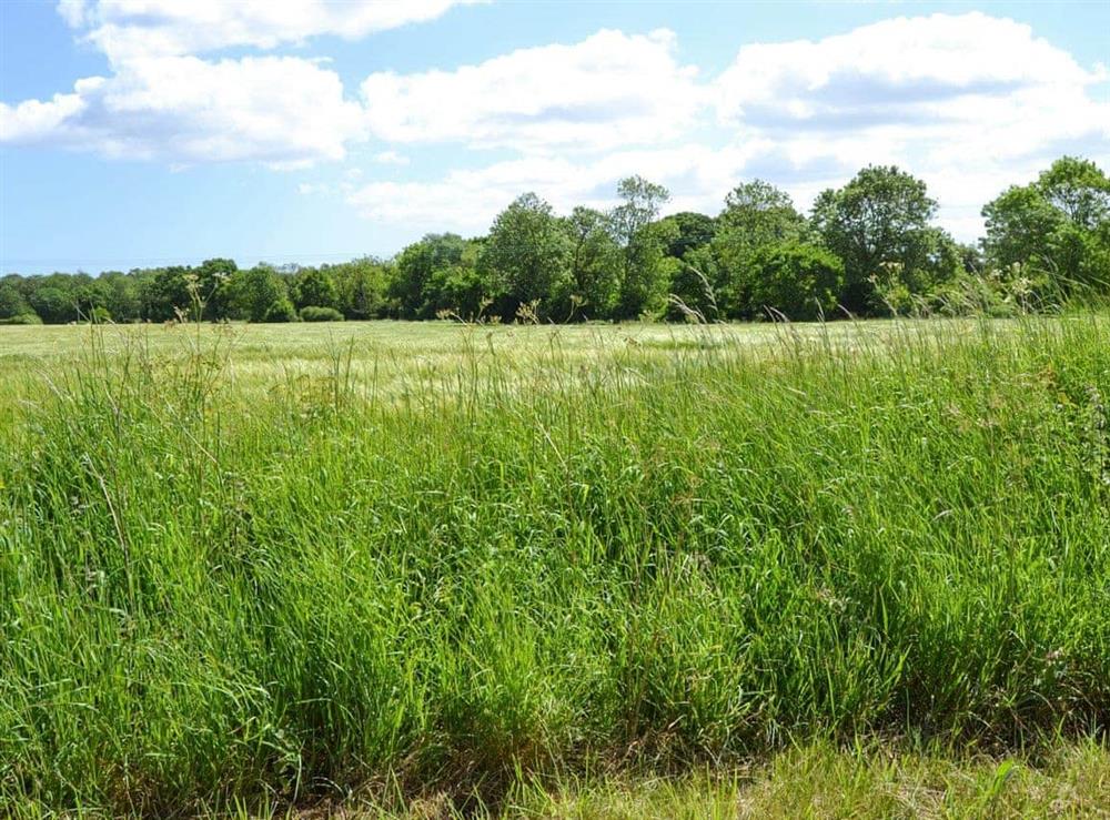Surrounding area (photo 2) at Jays Hatch in Witton, near Happisburgh, Norfolk