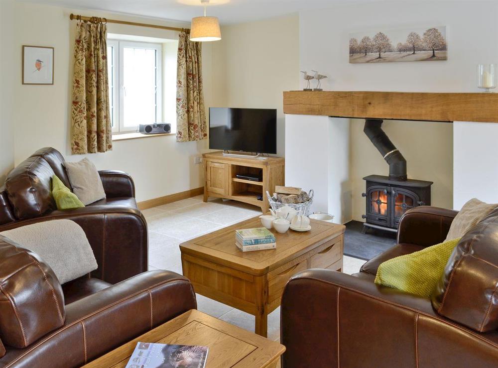 Spacious lounge with wood-burner in stylish fireplace at Herons Weir, 