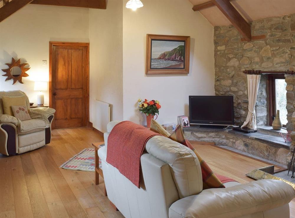 Living room with TV at Jemimas Cottage in Cilshafe, near Fishguard, Dyfed