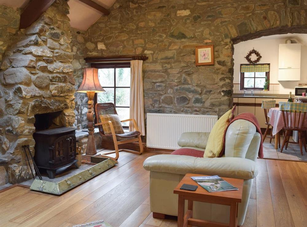 Living room with wood burner at Jemimas Cottage in Cilshafe, near Fishguard, Dyfed