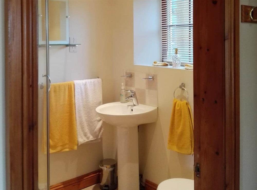 Shower room at Jenlea Cottage  in Grizebeck, near Kirkby-in-Furness, Cumbria