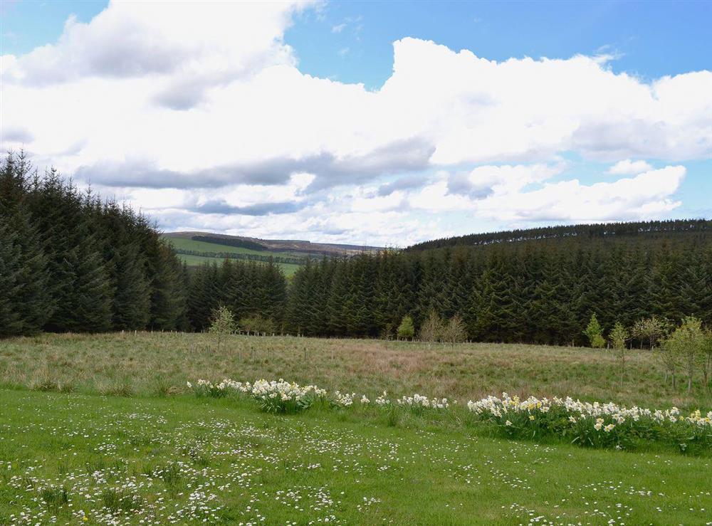 View at Jockey Milnes Croft in Glen Deveron, by Huntly, Aberdeenshire., Great Britain