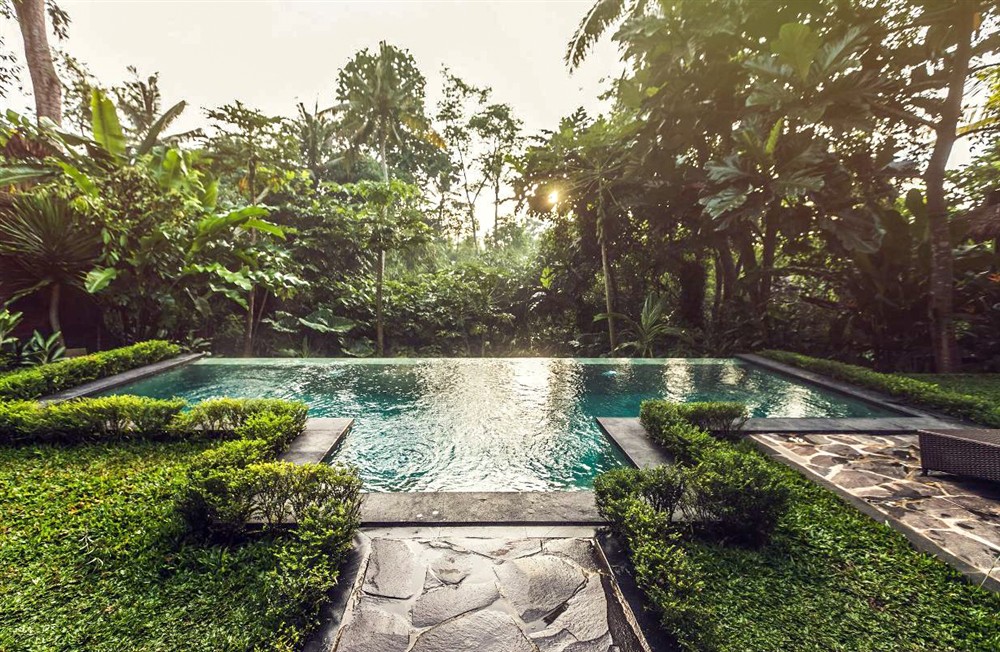 Jungle Villa