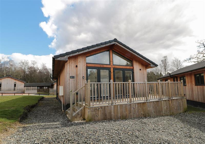 Outside at Juniper Lodge, Otterburn