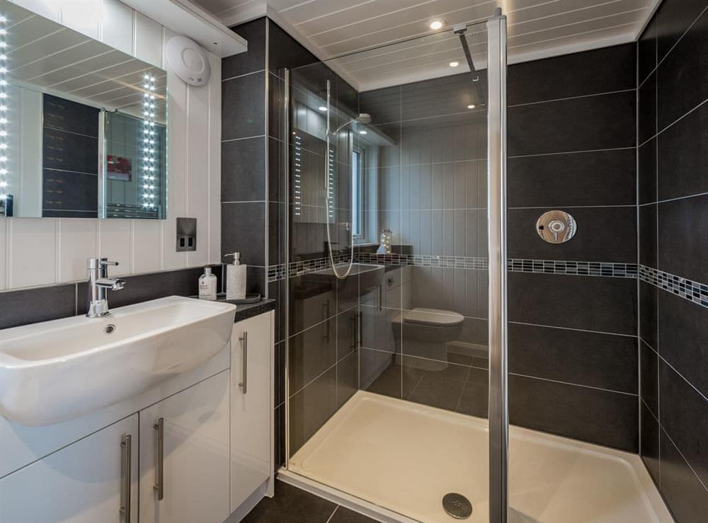 En-suite shower room (photo 2) at Karelia Lodge in Keltyneyburn, near Aberfeldy, Perthshire