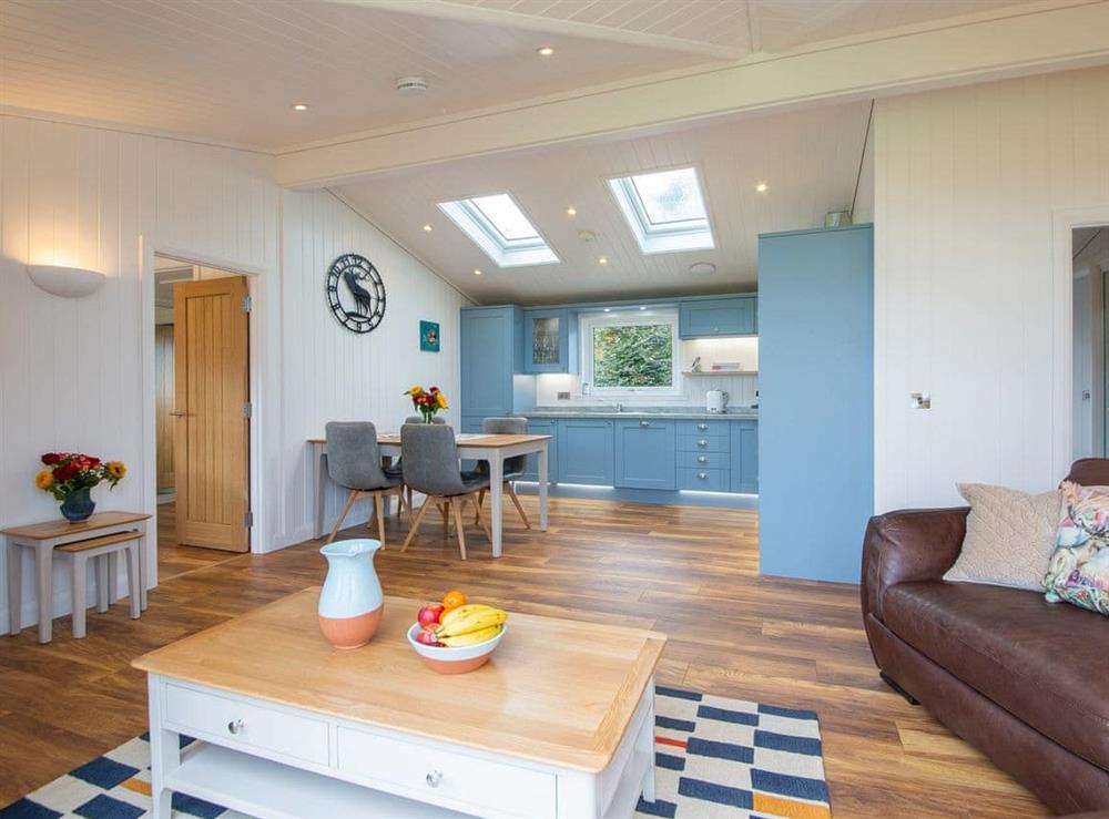 Light and airy open-plan living space at Karelia Lodge in Keltyneyburn, near Aberfeldy, Perthshire