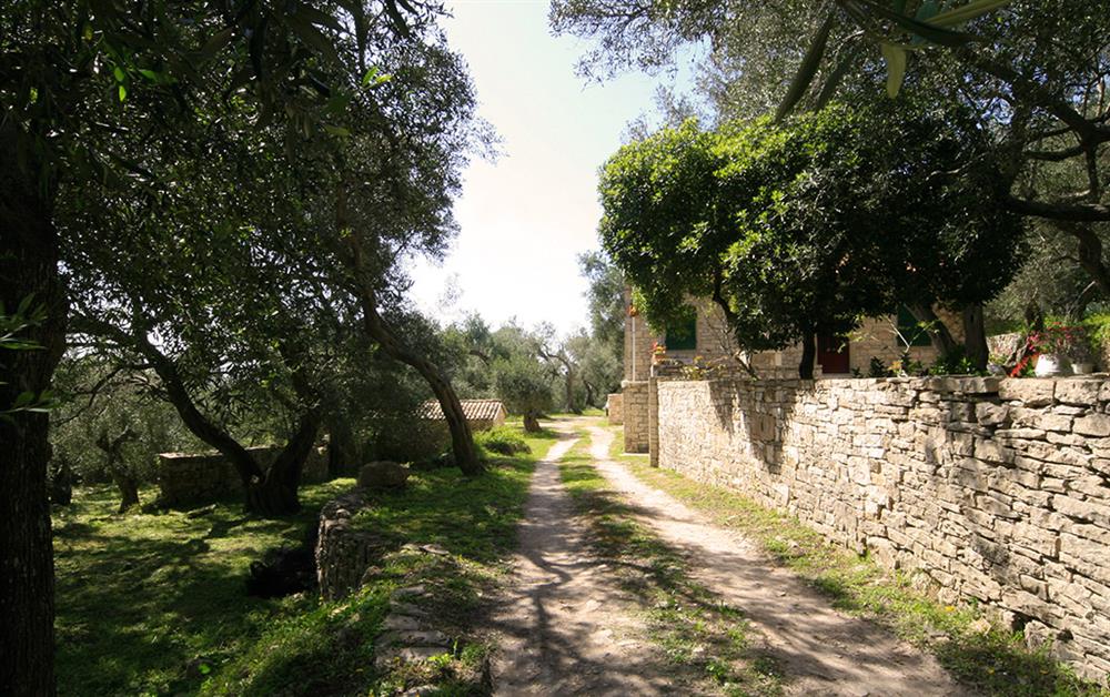 A photo of Kastanida House