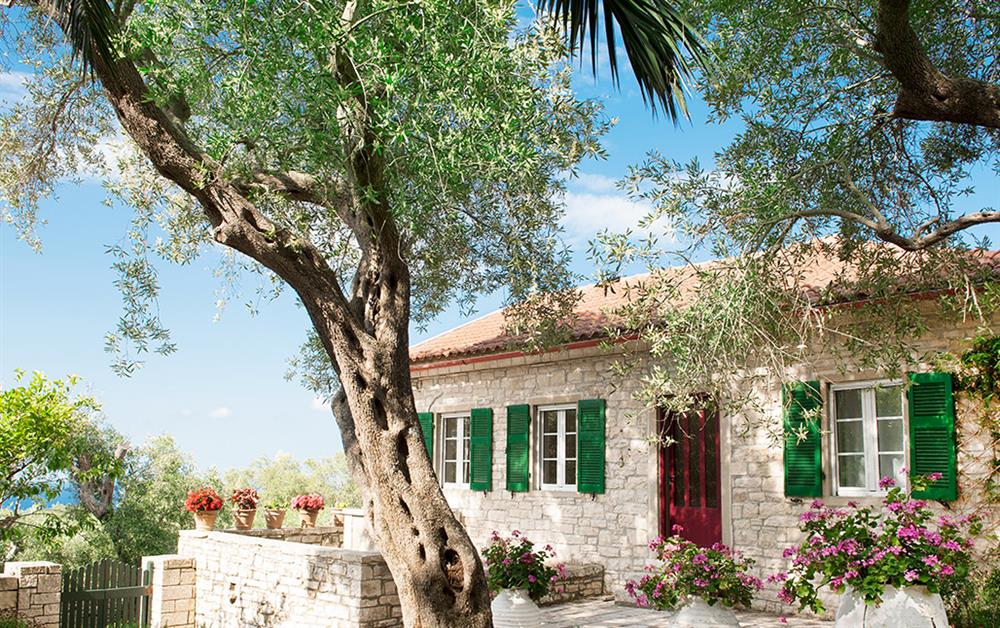 A photo of Kastanida House