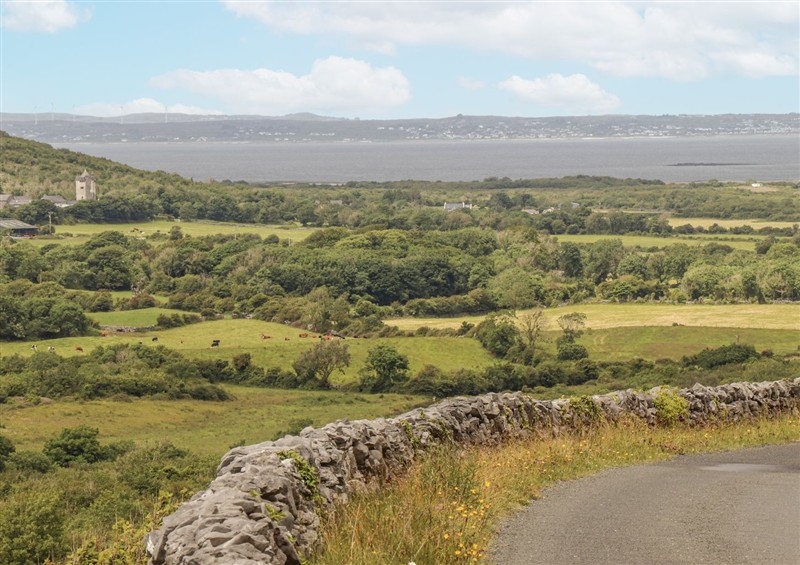 Rural landscape at Kates Cottage, Near Kinvara