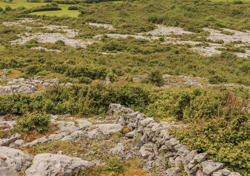 The garden at Kates Cottage, Near Kinvara