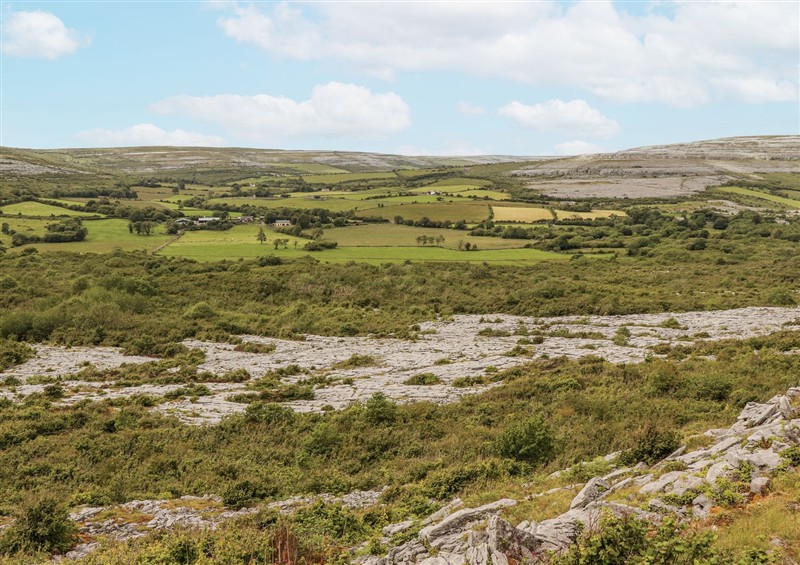 This is the garden at Kates Cottage, Near Kinvara