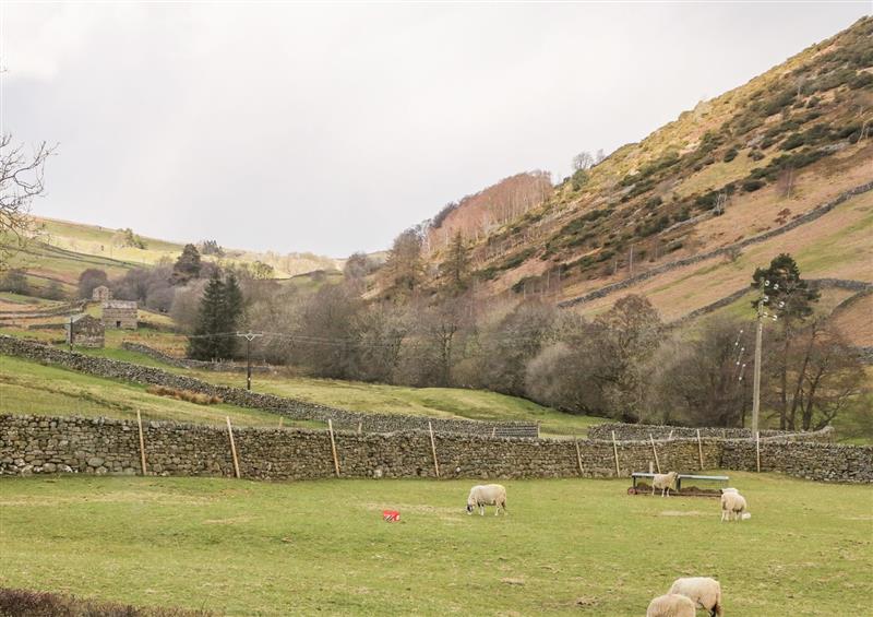 The setting around Kearton Shunner Fell