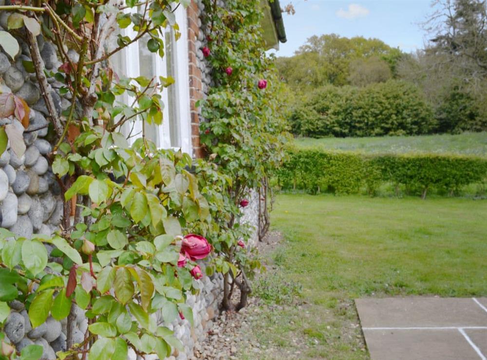 Rose-clad exterior studded with pebbles at Keepers Cottage in East Beckham, near Sheringham, Norfolk