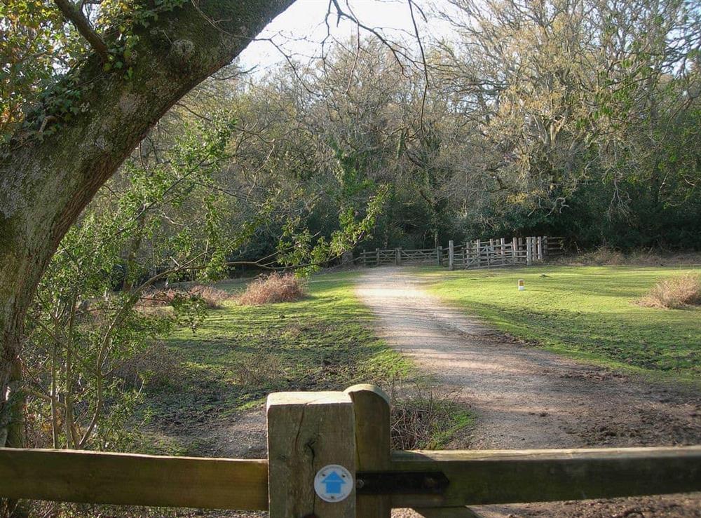 Pathway from Adlams Lane to neighbouring forest (photo 2) at Keith Cottage in Sway, near Lymington, Hampshire