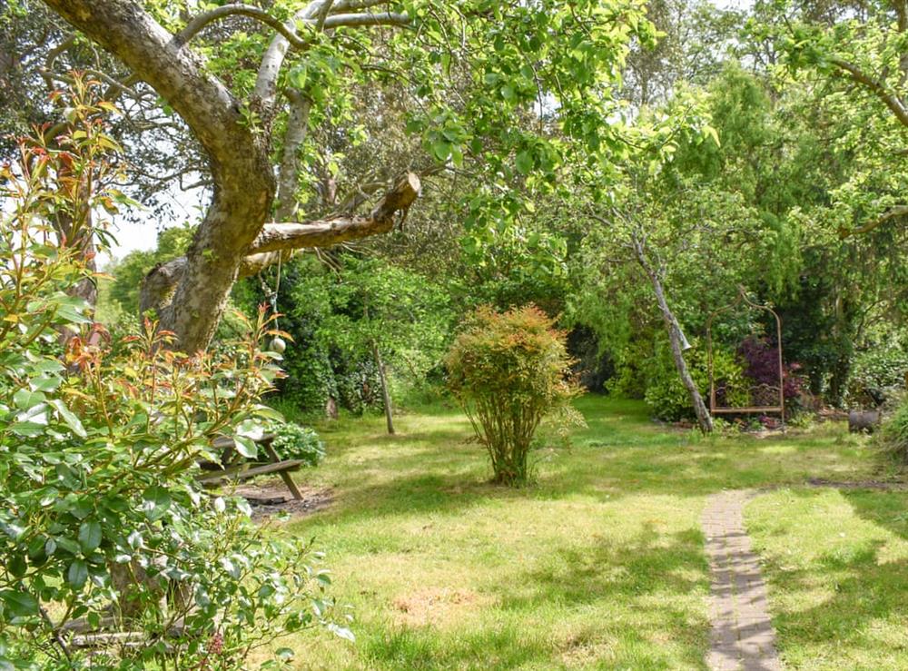 Garden at Kennelmans in Sopley, near Christchurch, Hampshire
