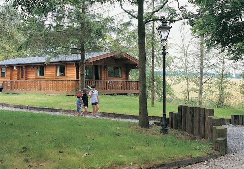 The park setting at Kenwick Woods Lodges in Lincolnshire, East of England