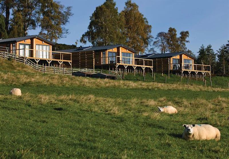 The lodge setting at Kessock Highland Lodges in Inverness-Shire, Scotland