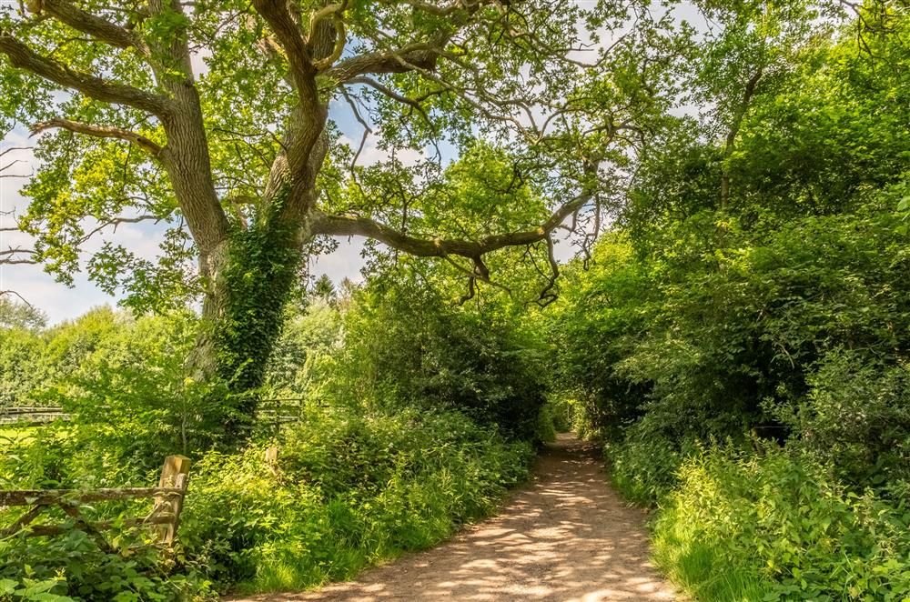 Beautiful countryside walks are in abundance