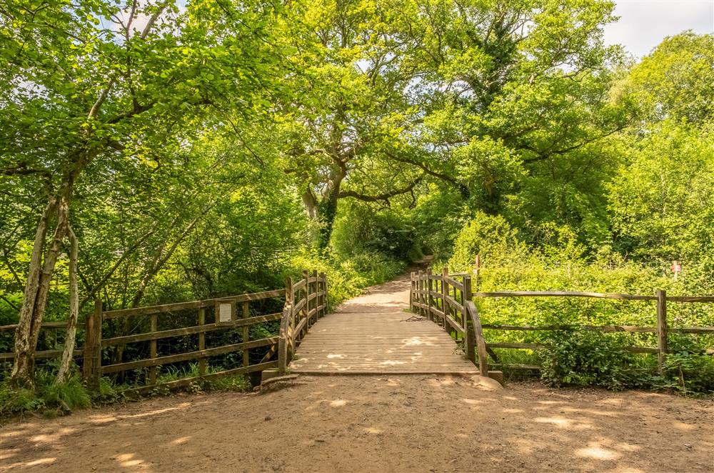 Take a walk over the infamous Pooh Bridge