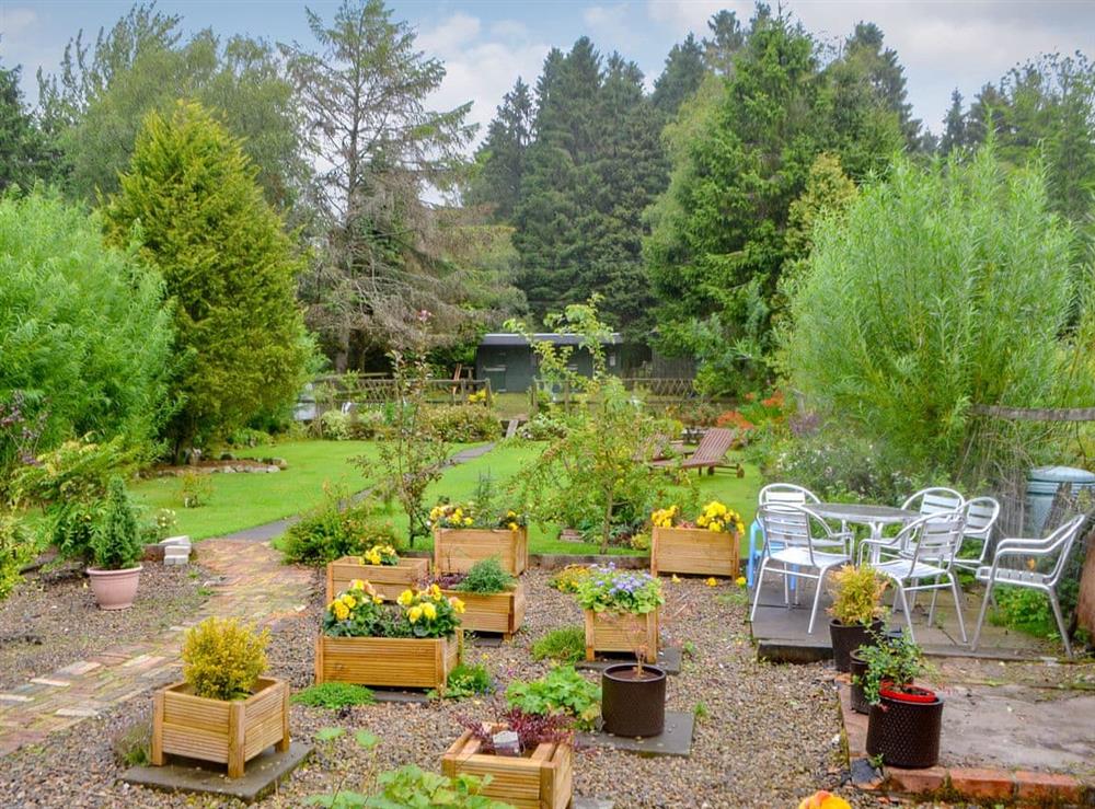 Large, attractive garden at Kielder Kip Cottage in Kielder, near Bellingham, Northumberland
