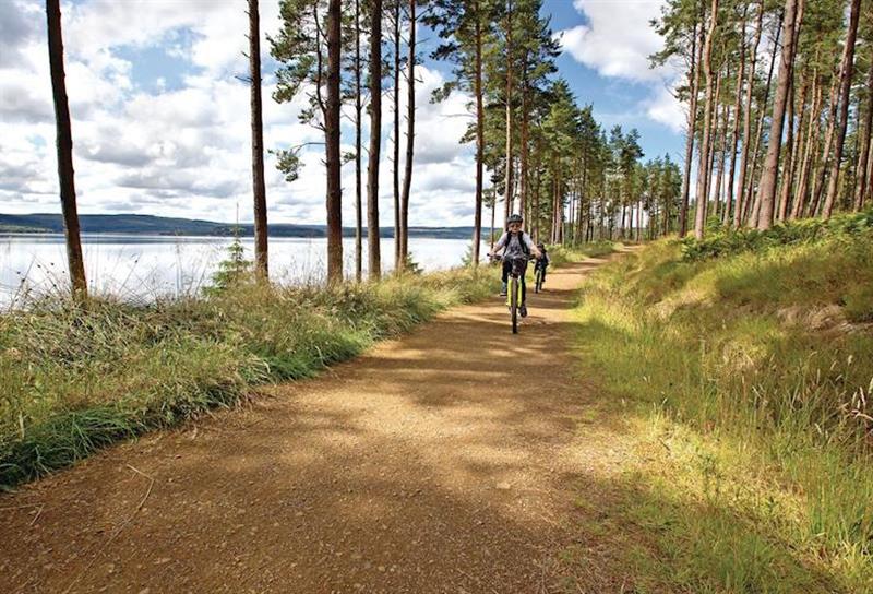 Cycling at Kielder Water Lodges in Northumberland, North of England