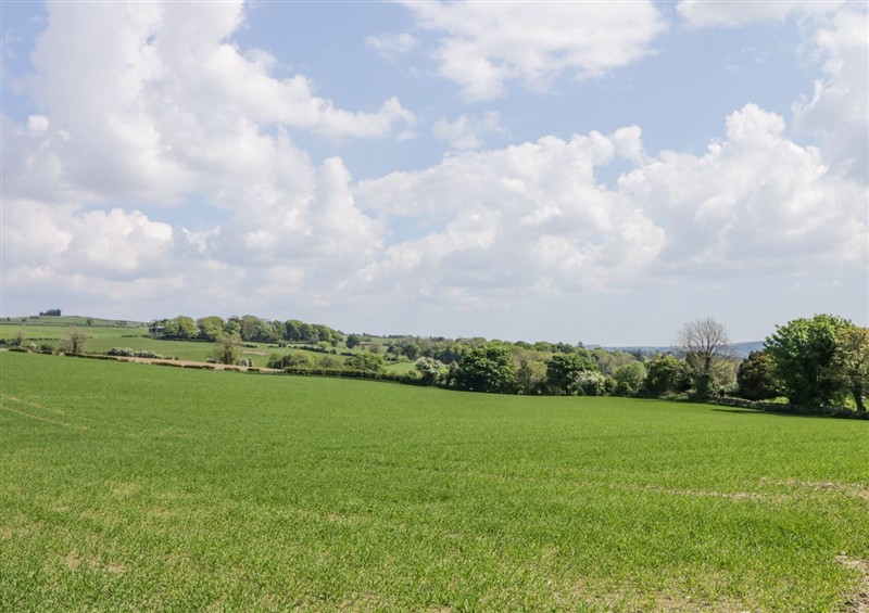 This is the garden at Killea Cottage, Killea near Londonderry