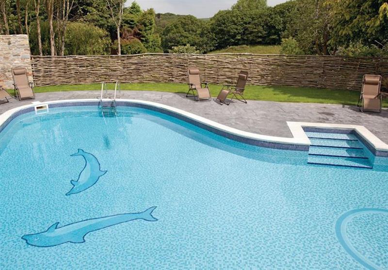 Outdoor heated swimming pool (photo number 8) at Kilminorth Cottages in Watergate, Looe, Cornwall