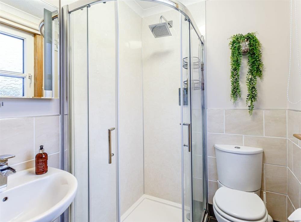 Ground floor shower room at Holly View Annexe, 