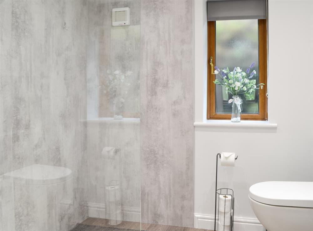 Shower room at Kimberdale Chalet in Baldwinholme, near Carlisle, Cumbria