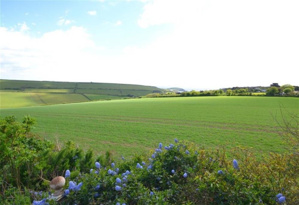 Views of surrounding countryside from the garden at Kimberley Garden Cottage in Ringmore