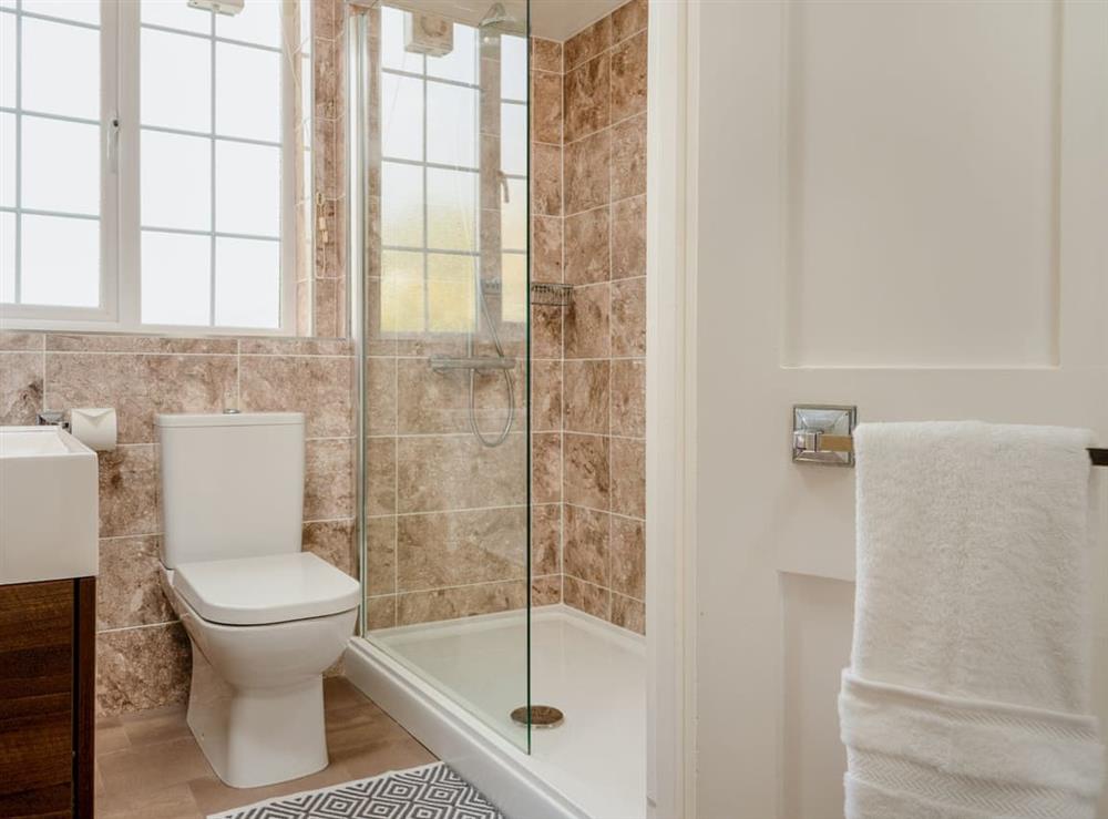 Shower room at Kinbrae Apartment in Torquay, Devon