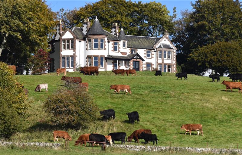 The setting around Kinclune House and Annex at Kinclune House and Annex, Kirriemuir