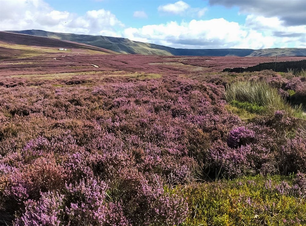 Surrounding area at Kinder Cottage in Hayfield, Derbyshire