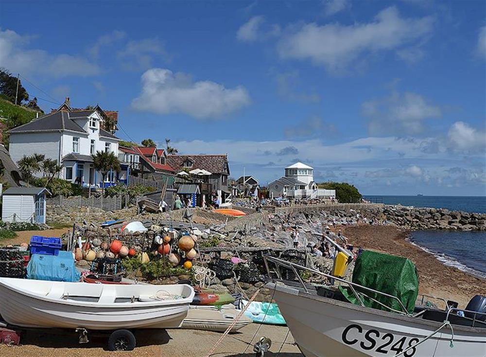 Steephill Cove at Farm Cottage, 
