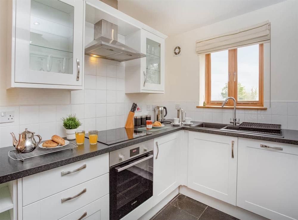 Kitchen at Kingfisher in Blackawton, near Totnes, Devon