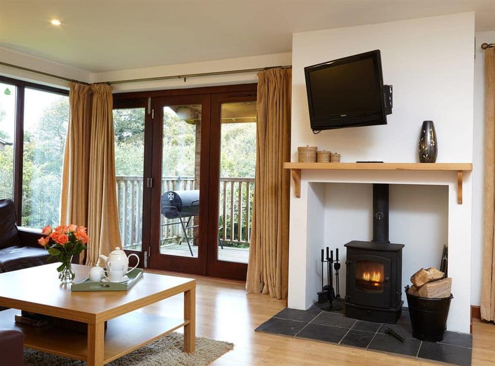 Living area at Kingfisher in Calbourne, Nr Newport, Isle of Wight., Isle Of Wight