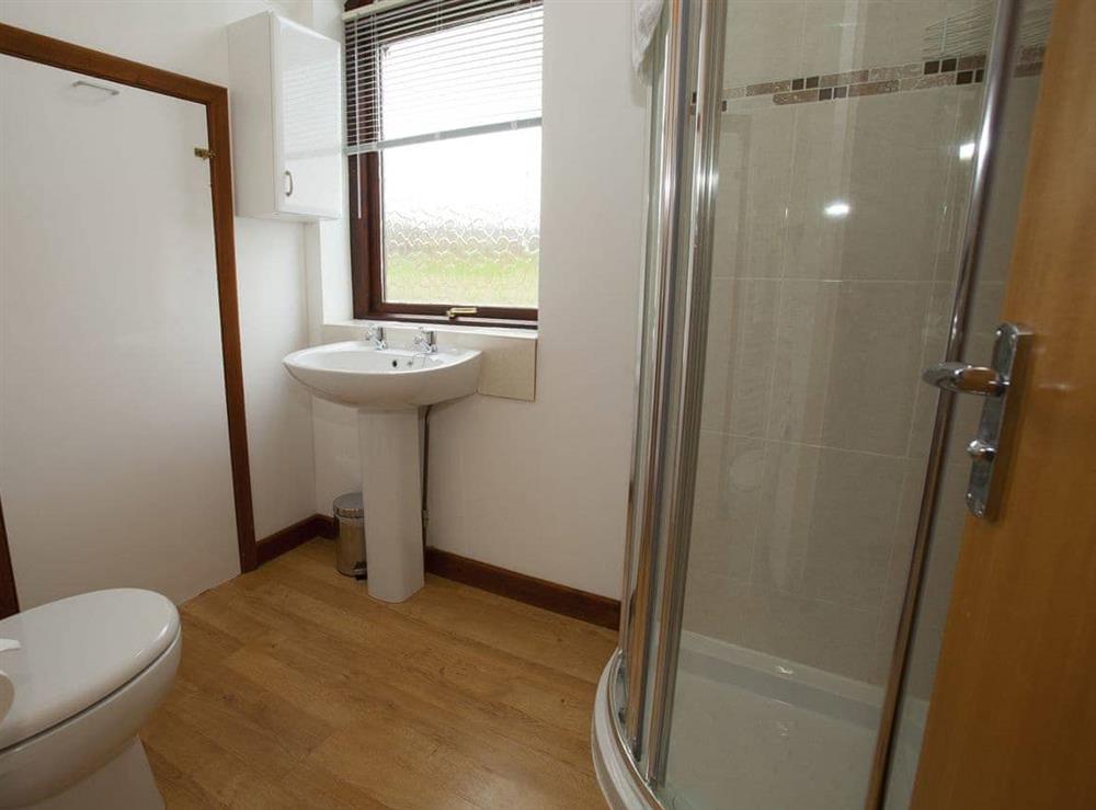 Shower room at Kingfisher in Calbourne, Nr Newport, Isle of Wight., Isle Of Wight