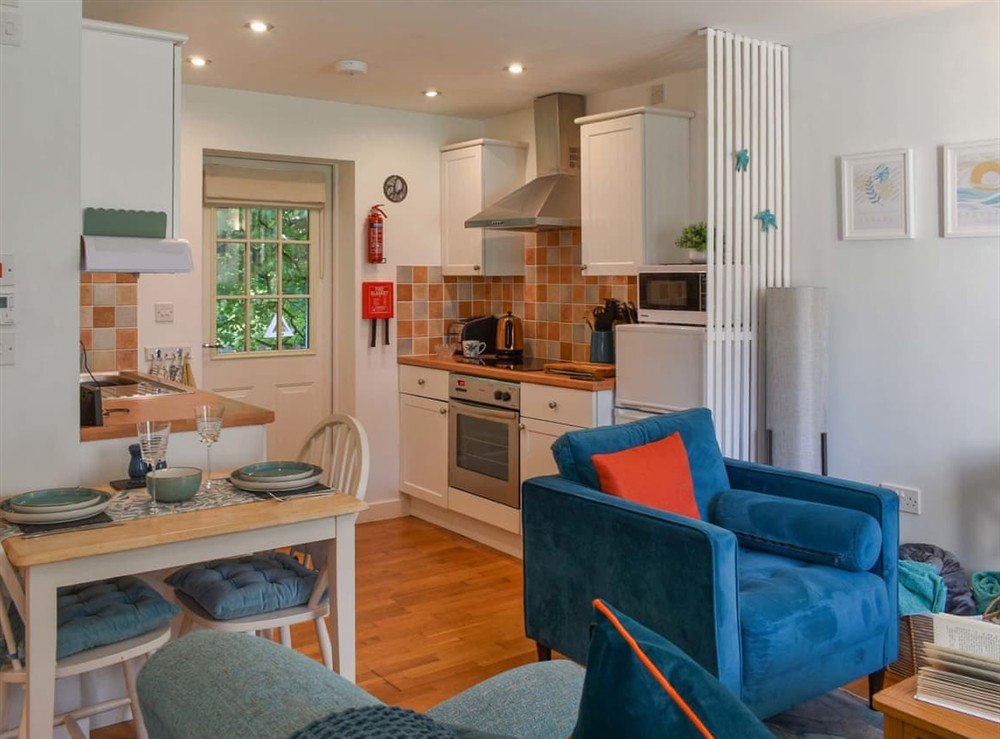 Open plan living space (photo 3) at Kingfisher Cottage, 20 in Camelford, Cornwall