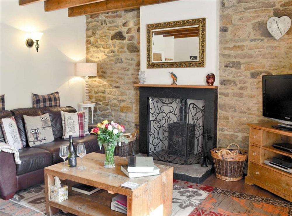 Living room at Kingfisher Cottage in Butterknowle, near Bishop Auckland, Durham
