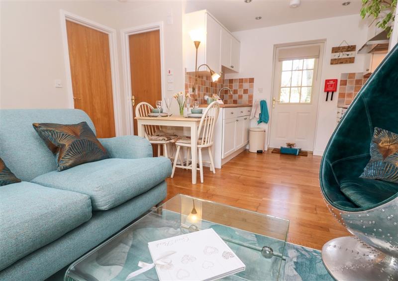 Enjoy the living room at Kingfisher Cottage, Davidstow near Camelford