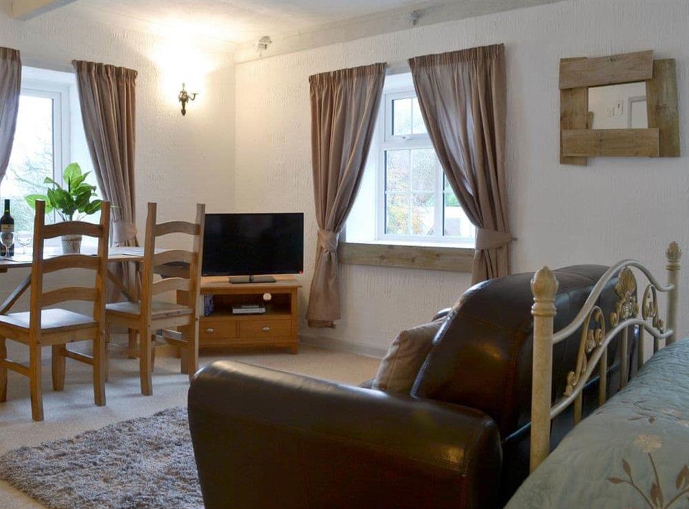 Living/dining/ bedroom at Kingfisher in Liskeard, Cornwall