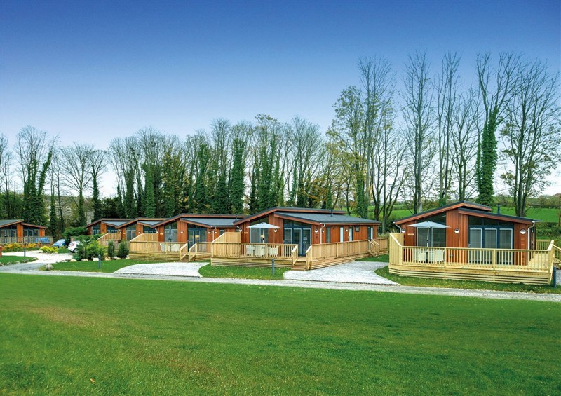 Enjoy the garden at Kingfisher Lodge, Gargrave