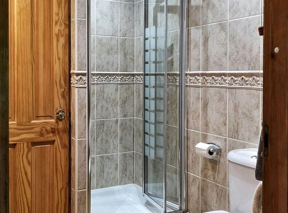 Good-sized shower room at Kingfisher Lodge in Hagworthingham, Lincs., Lincolnshire