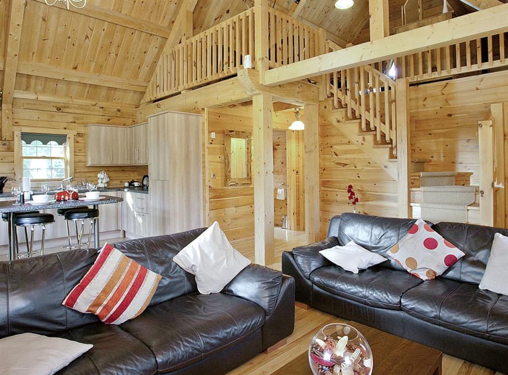 Open plan living space (photo 2) at Kingfisher Lodge in Keal Cotes, Lincolnshire