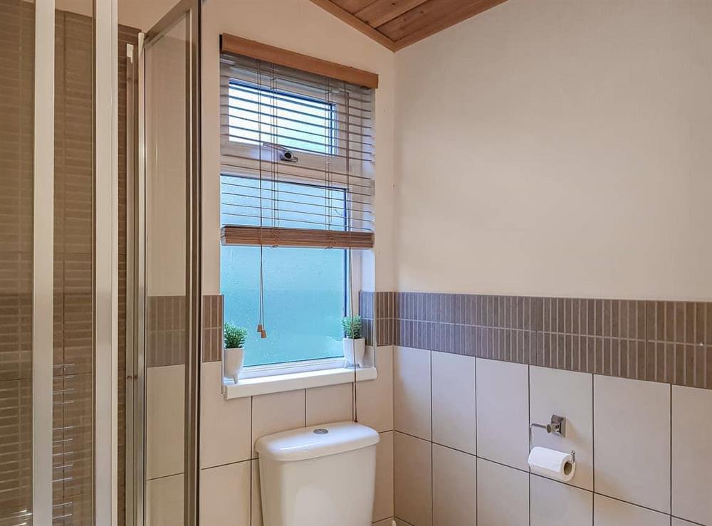 Bathroom (photo 2) at Kingfisher Lodge in Loch Lomond, Dumbartonshire