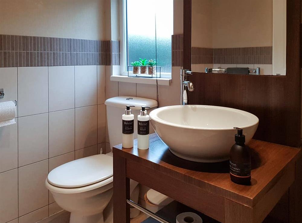 Bathroom (photo 3) at Kingfisher Lodge in Loch Lomond, Dumbartonshire