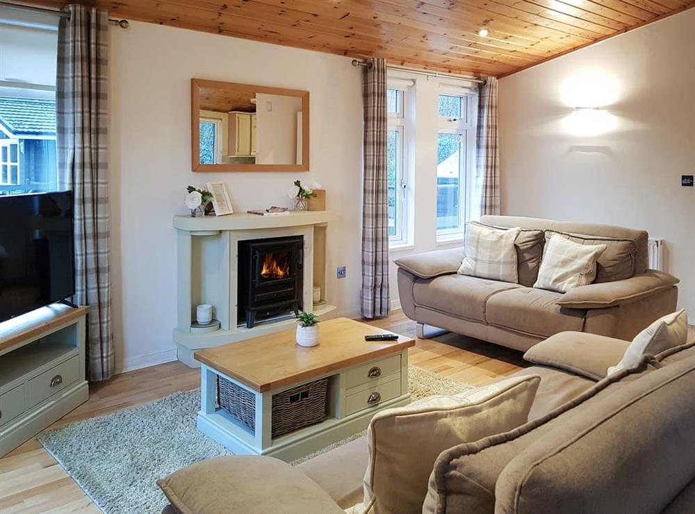 Open plan living space (photo 2) at Kingfisher Lodge in Loch Lomond, Dumbartonshire