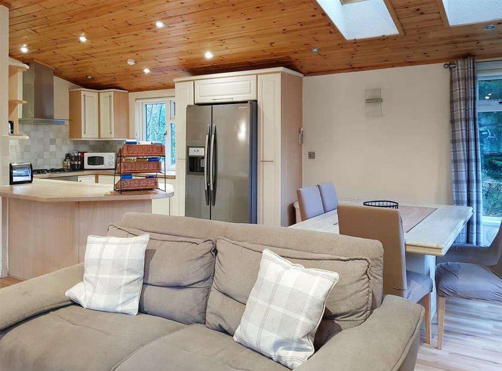 Open plan living space at Kingfisher Lodge in Loch Lomond, Dumbartonshire