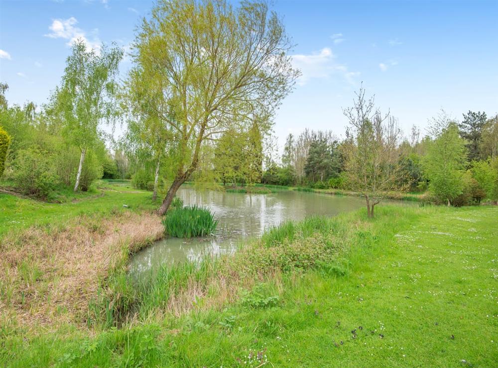 Garden and grounds at Kingfisher in Marston, Lincolnshire