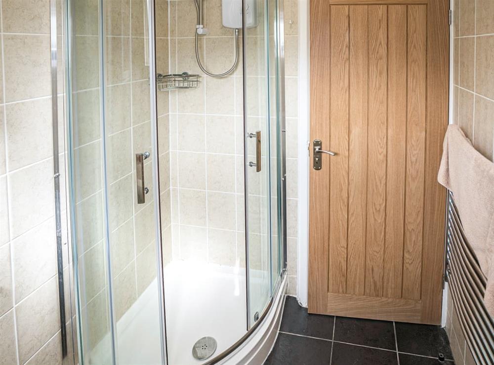 Shower room (photo 2) at Kingfishers Haven in St Cleer, near Liskeard, Cornwall